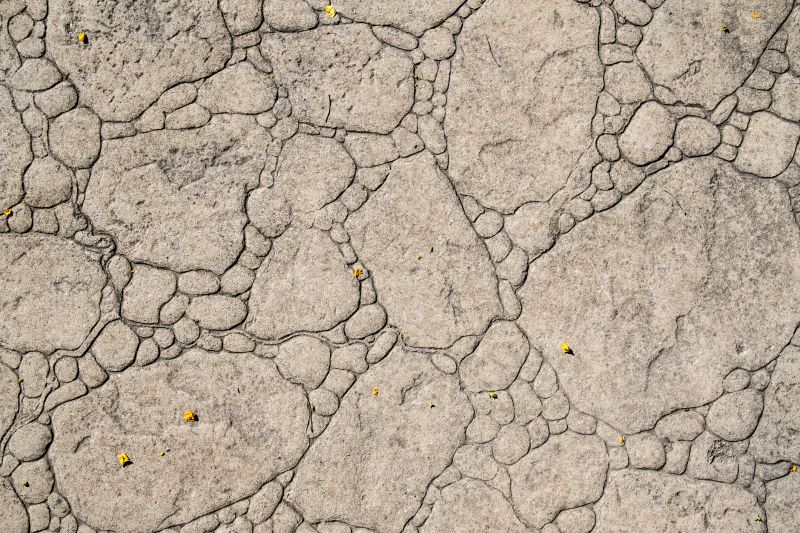 Decorative Concrete Repair in Charleston, SC