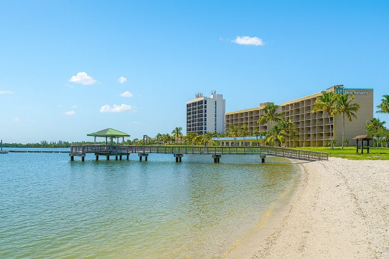 Local Concrete Staining Service in North Fort Myers, FL