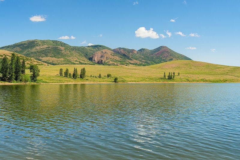 Local Stamped Concrete Construction in Morgan, UT